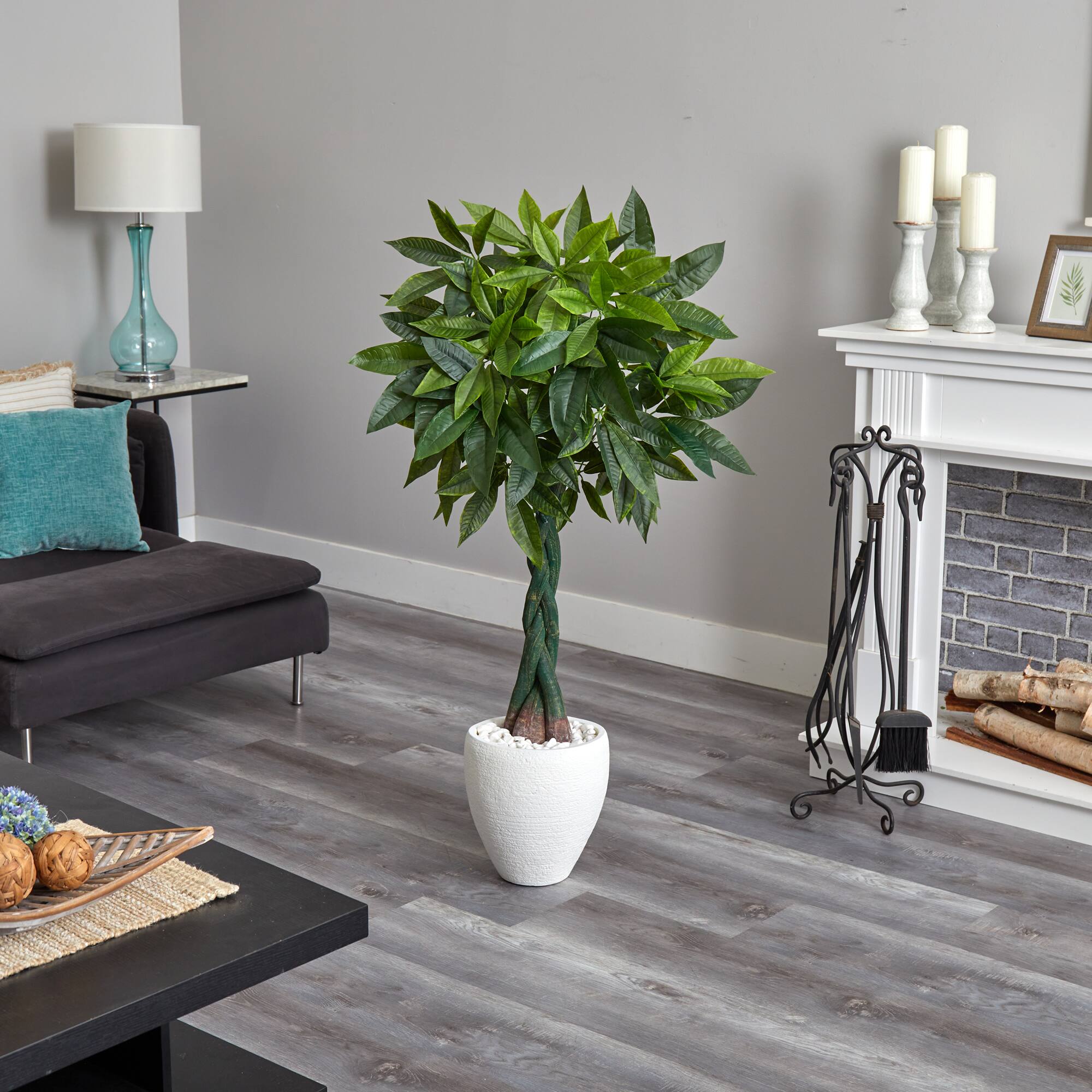 5ft. Money Tree in White Oval Planter
